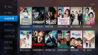 陈导直播爆料视频下载安装,下载安装过程全解析